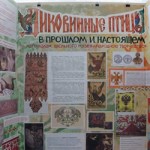 Project_Magic Russian birds_scholl_523.jpg